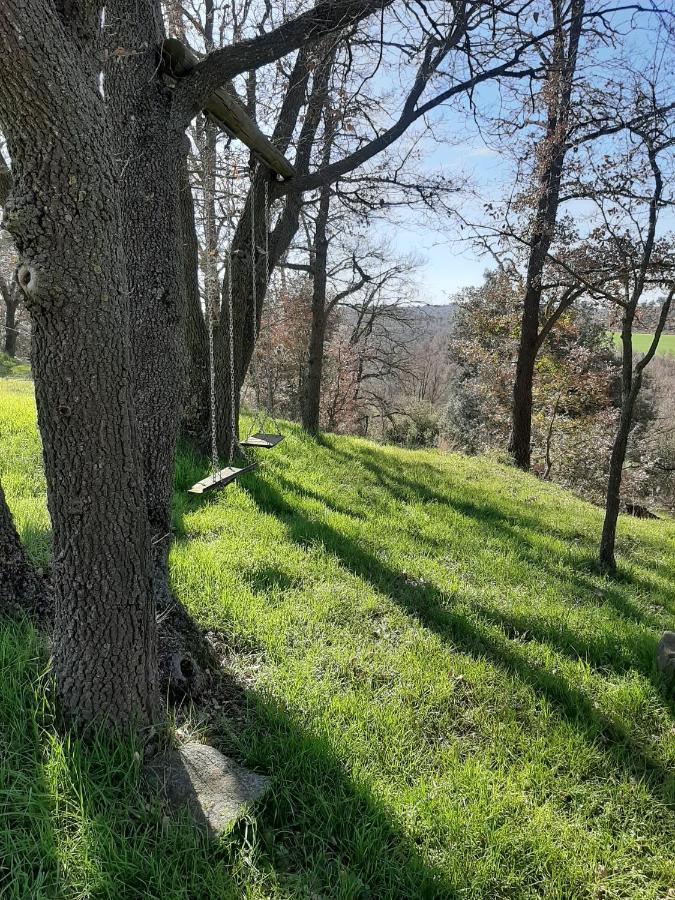 Allotjament Rural Solsona Zewnętrze zdjęcie
