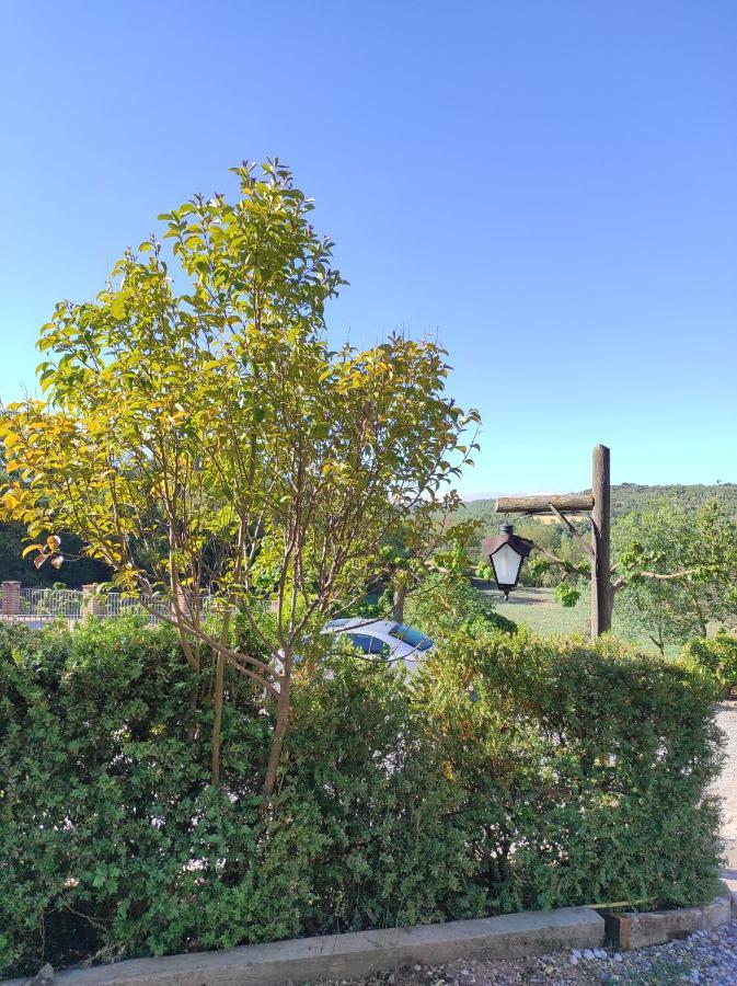 Allotjament Rural Solsona Zewnętrze zdjęcie