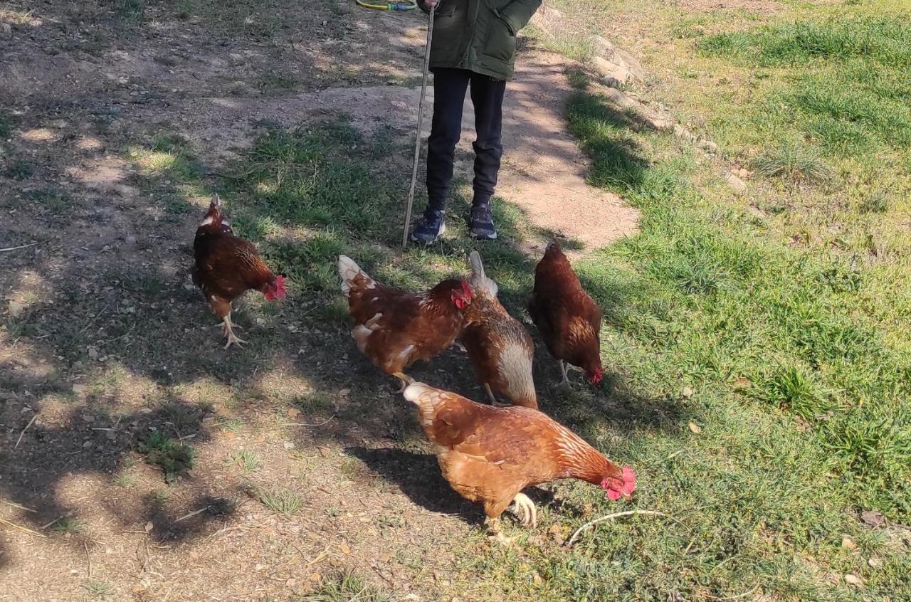Allotjament Rural Solsona Zewnętrze zdjęcie